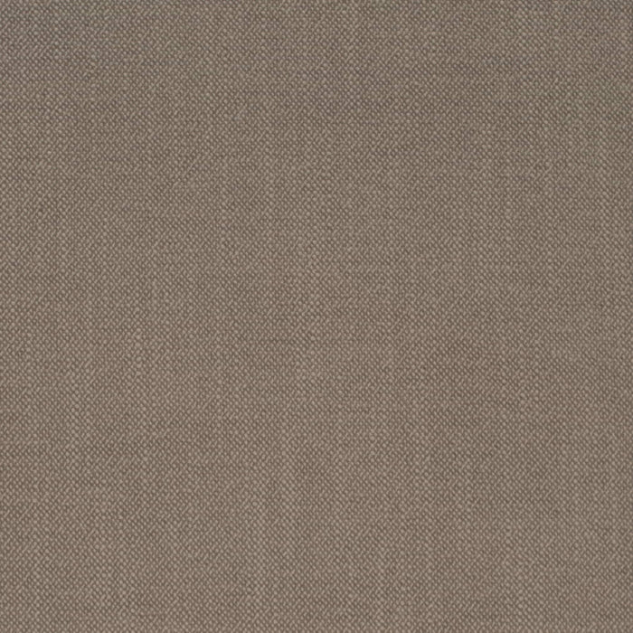 D4257 Pumice Fabric Charlotte Fabrics