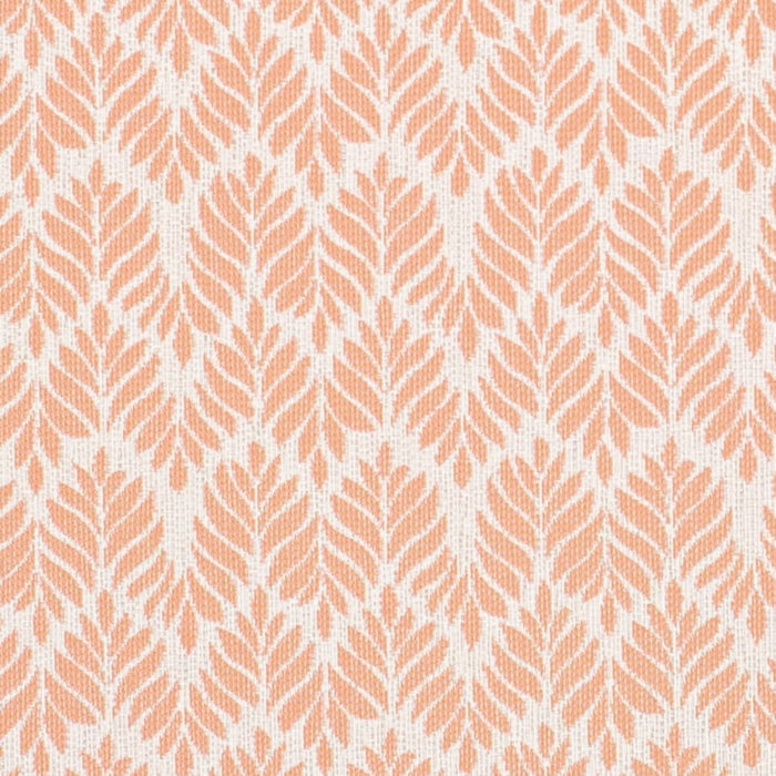 D4311 Shell Fabric D4311 Charlotte Fabrics