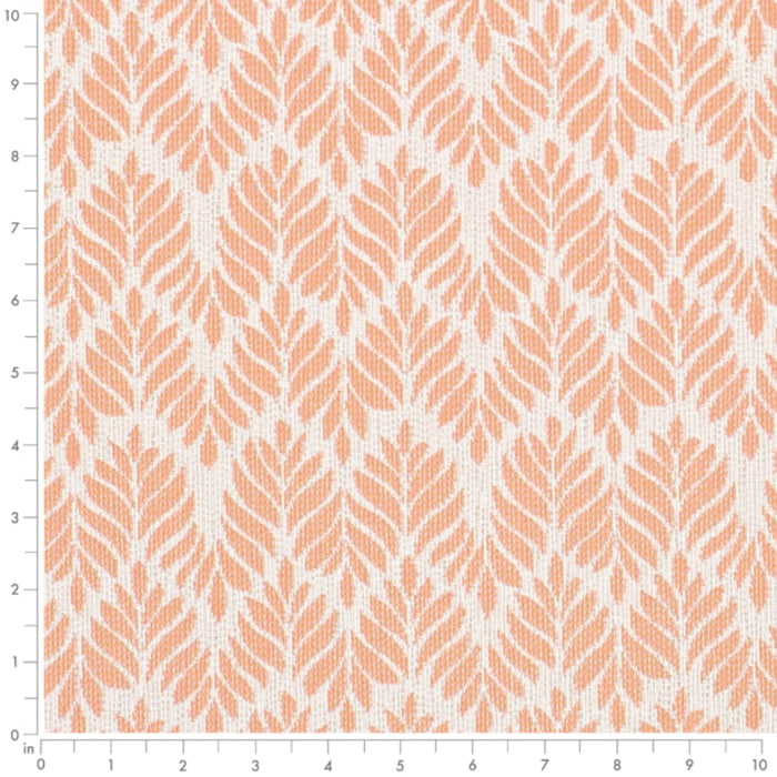 D4311 Shell Fabric D4311 Charlotte Fabrics
