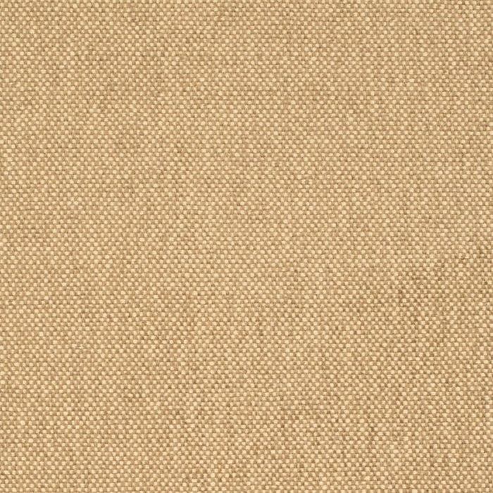 D4464 Latte Fabric Charlotte Fabrics