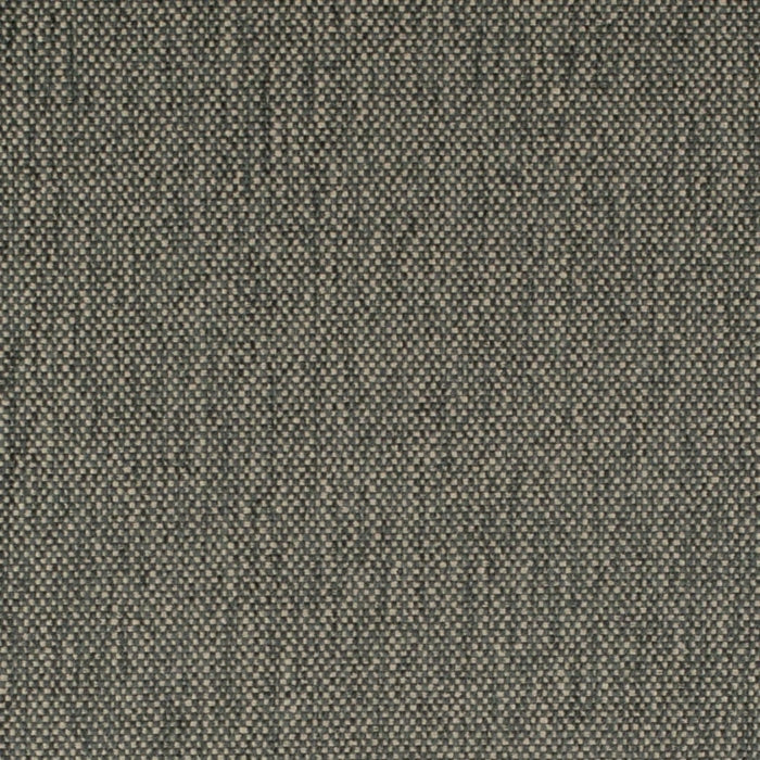 D4488 Zinc Fabric Charlotte Fabrics