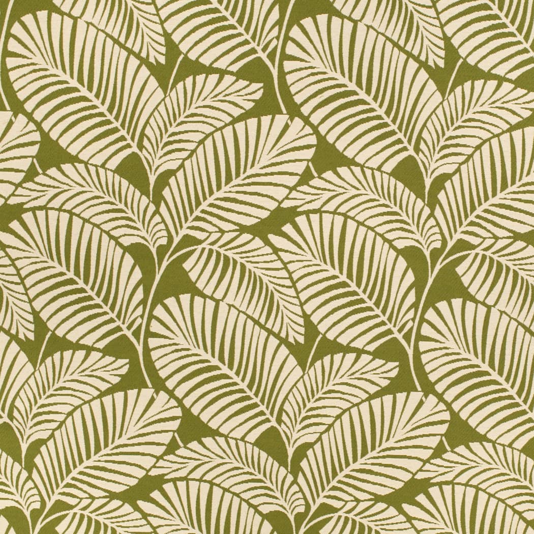 https://www.charlottefabrics.com/wp-content/uploads/2024/06/D4558-Palm-Grass_Large.jpg