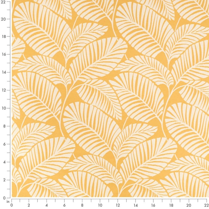 D4562 Palm Sun Fabric D4562 Charlotte Fabrics