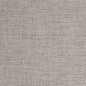 https://www.charlottefabrics.com/wp-content/uploads/2023/12/F100-116_Large-v1-300x300.jpg