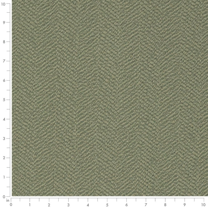 F300-288 Fabric F300-288 Charlotte Fabrics