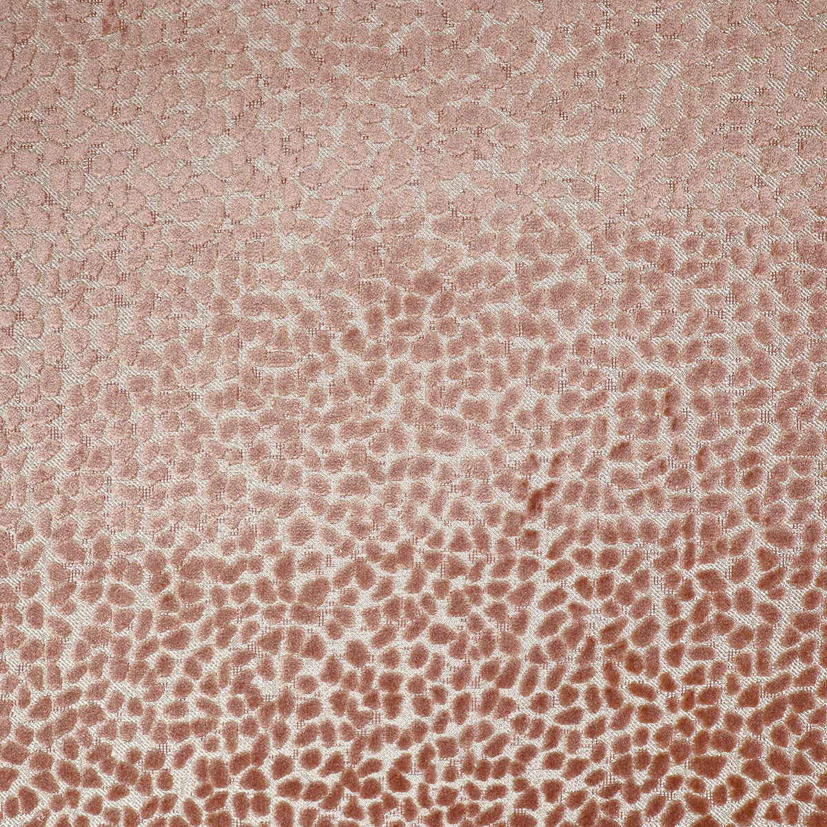 GEMS BLUSH Magnolia Fabrics
