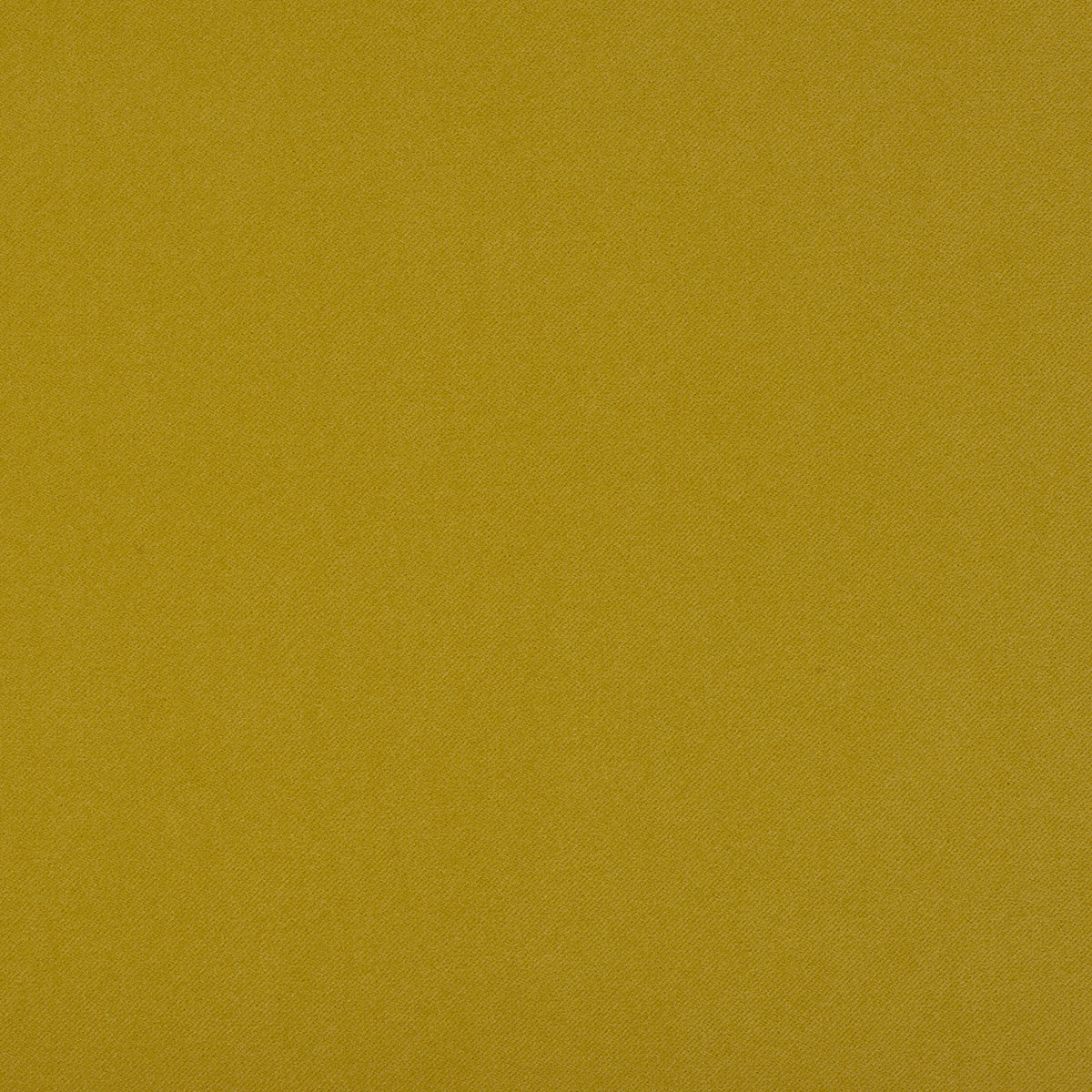 InsideOut COCO LEAF Magnolia Fabrics