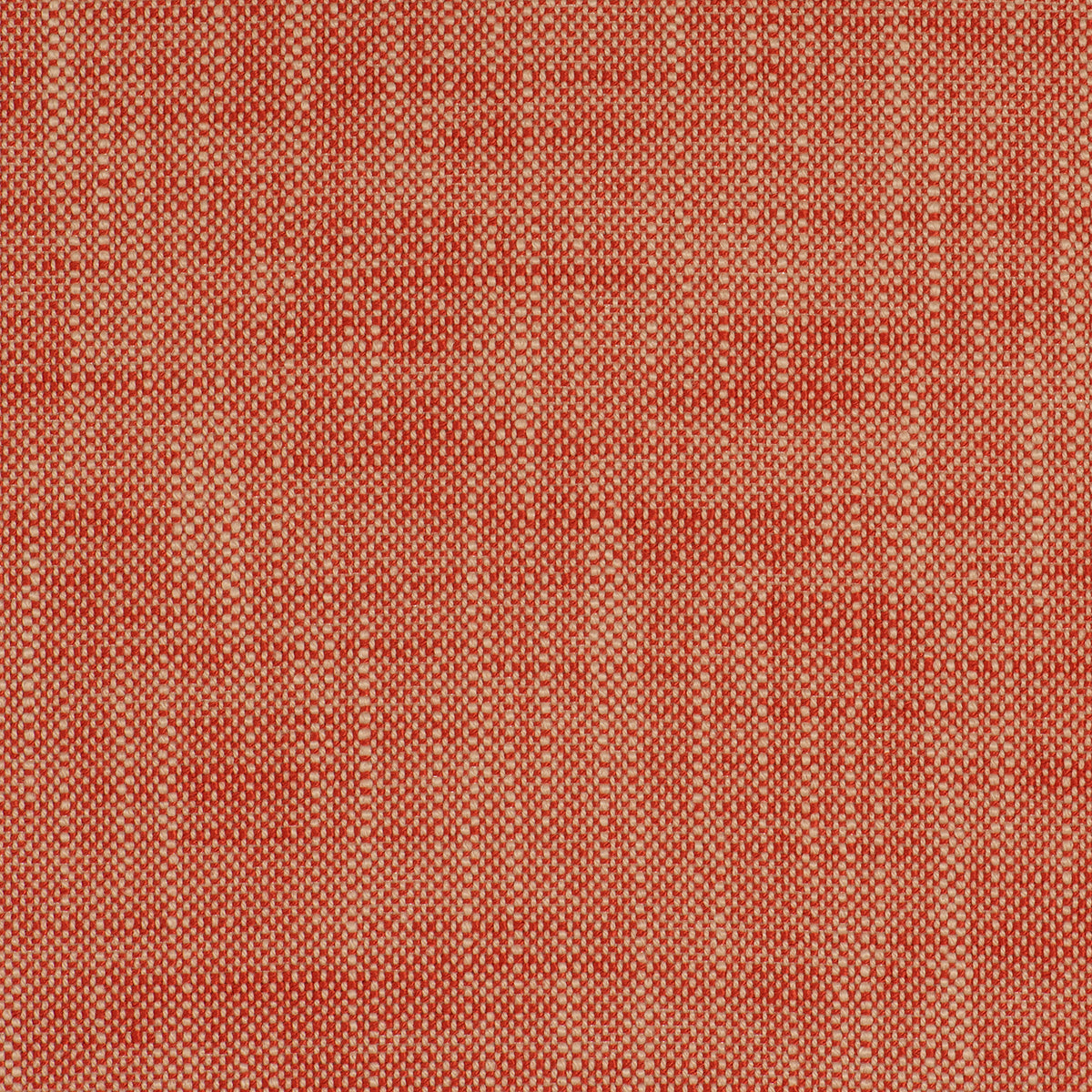 InsideOut FRANCES SALSA Magnolia Fabrics
