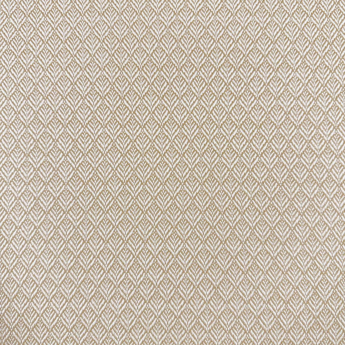MIMUS HONEY Mag Fabrics