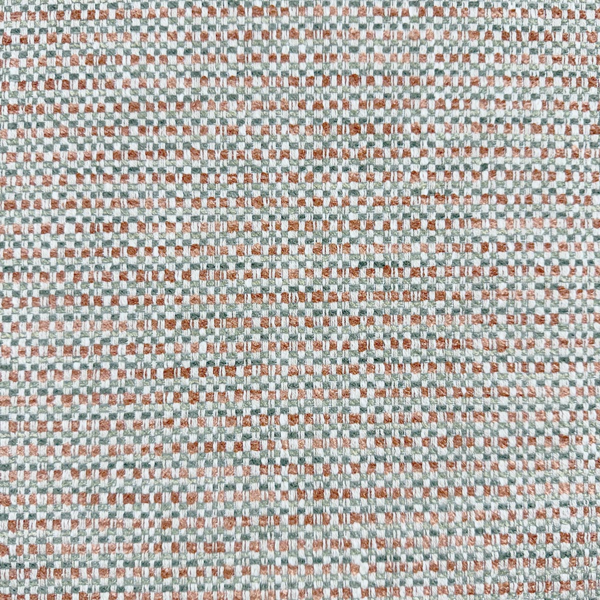 TAYLOR TERRA Mag Fabrics