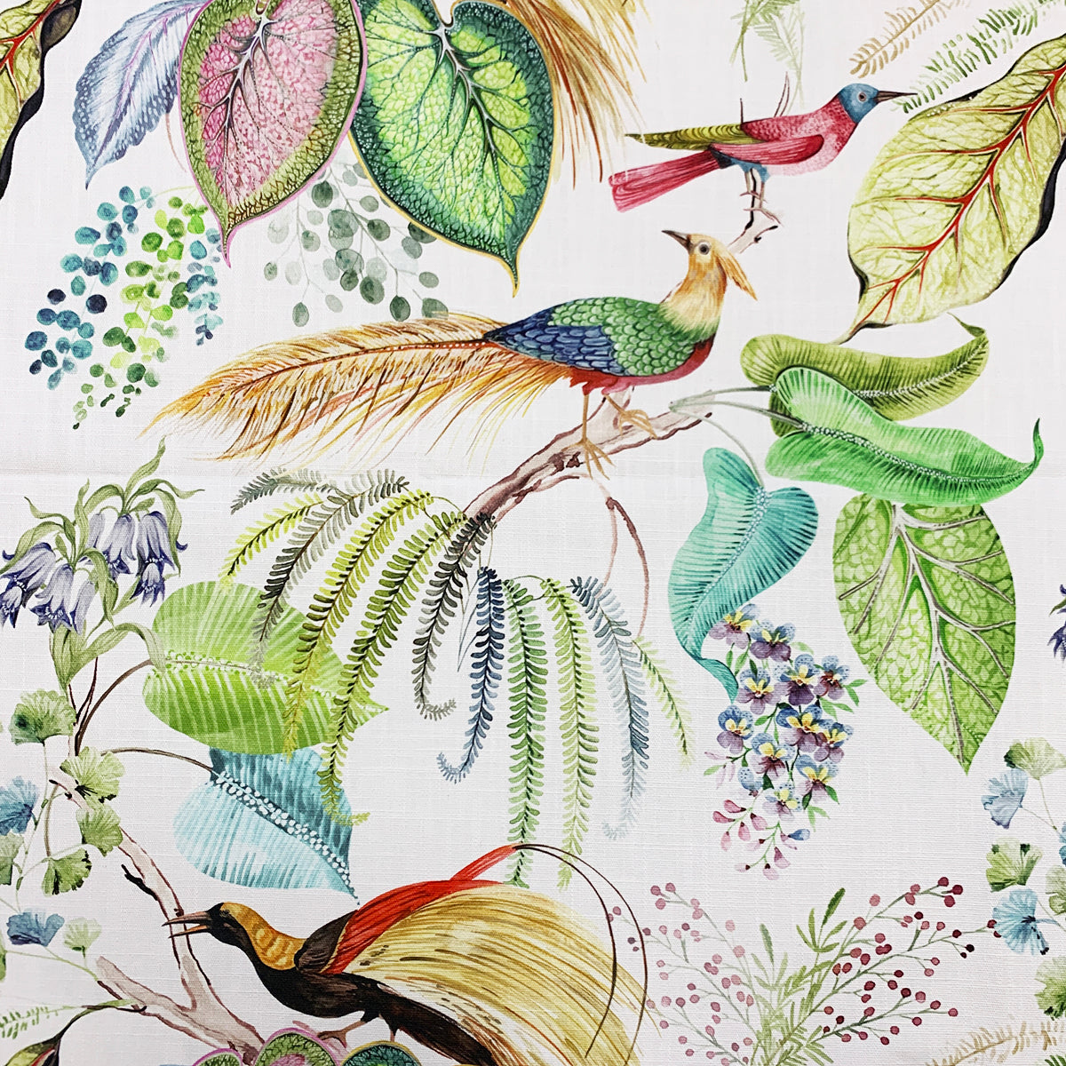 TROPIC FESTIVAL Mag Fabrics