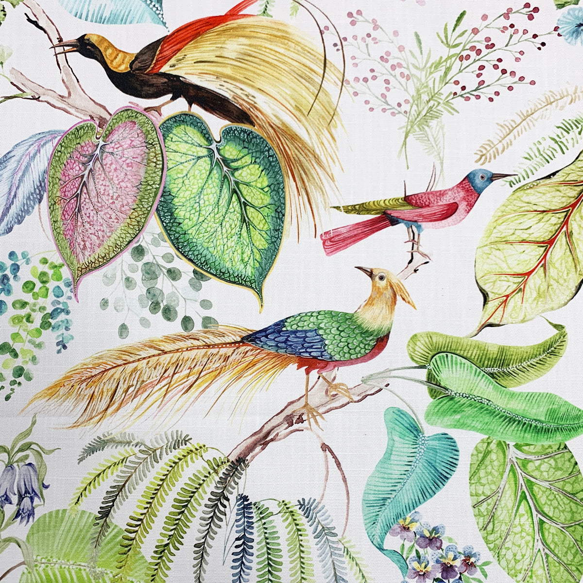 TROPIC FESTIVAL Mag Fabrics