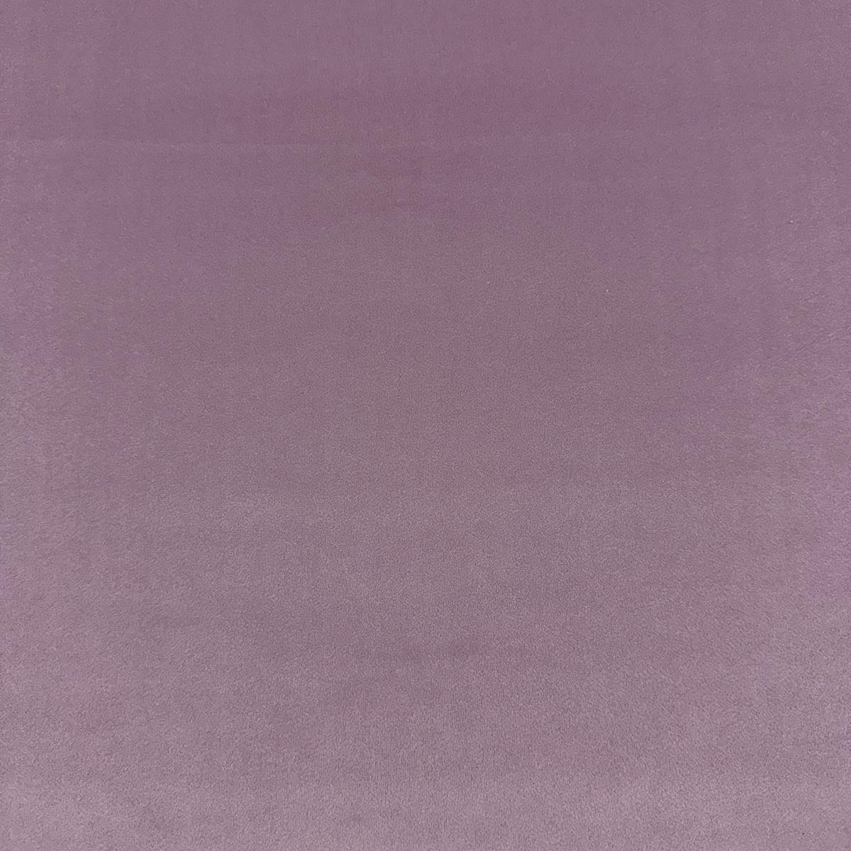 VASTO LAVENDER Mag Fabrics