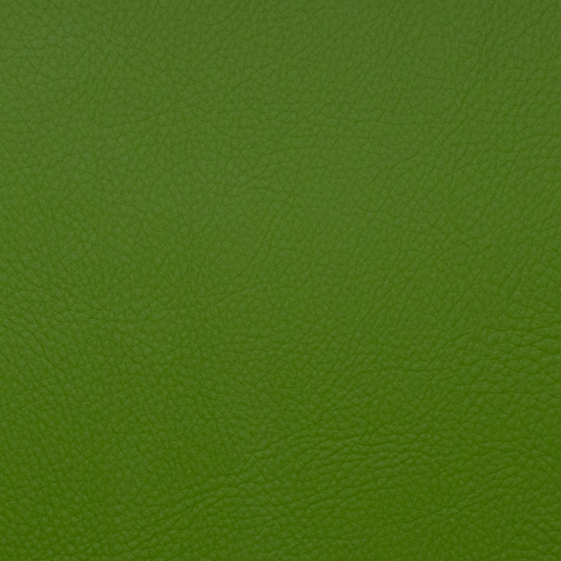 VOYAGER FOREST Mag Fabrics