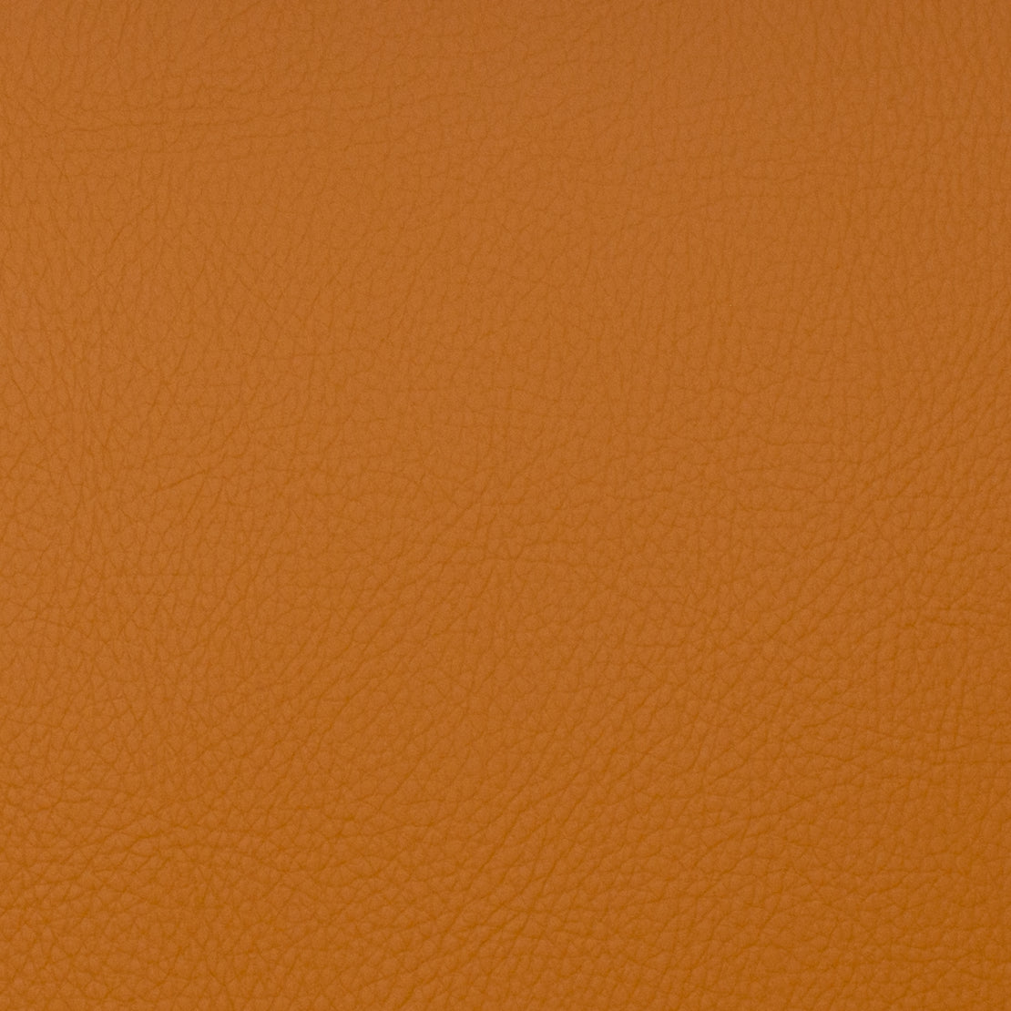 VOYAGER SPICE Mag Fabrics