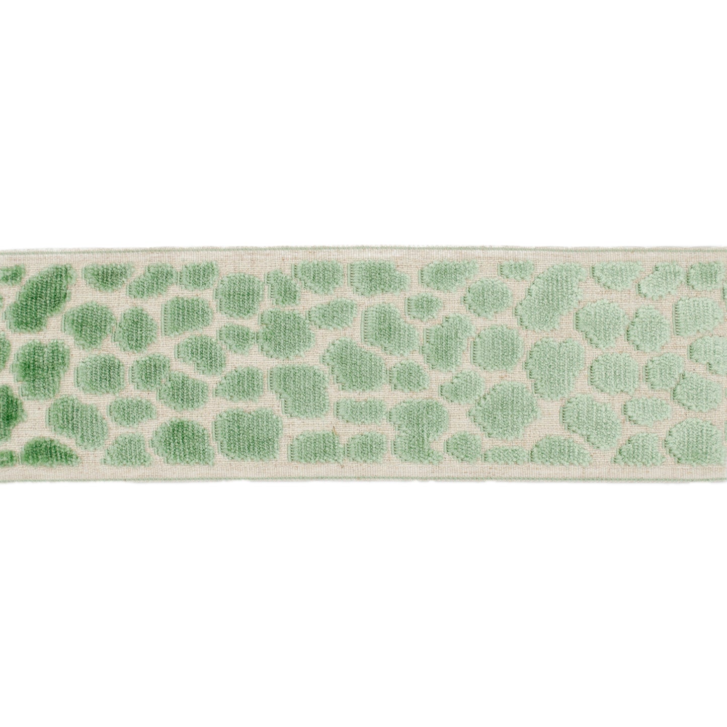 WILDER TAPE CARIBBEAN GREEN Mag Fabrics