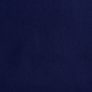 https://www.charlottefabrics.com/wp-content/uploads/2023/12/2201-Sapphire_Large-v1-300x300.jpg