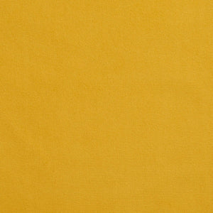 https://www.charlottefabrics.com/wp-content/uploads/2023/12/2204-Canary_Large-v1-300x300.jpg