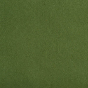 https://www.charlottefabrics.com/wp-content/uploads/2023/12/2205-Juniper_Large-v1-300x300.jpg