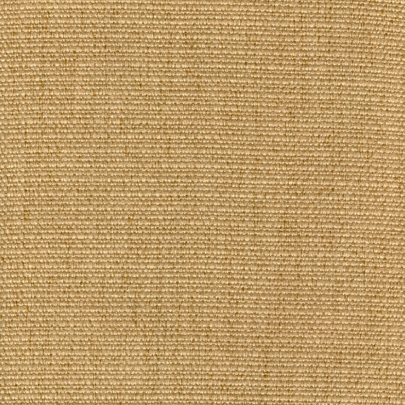 CACHAY GOLD Mag Fabrics
