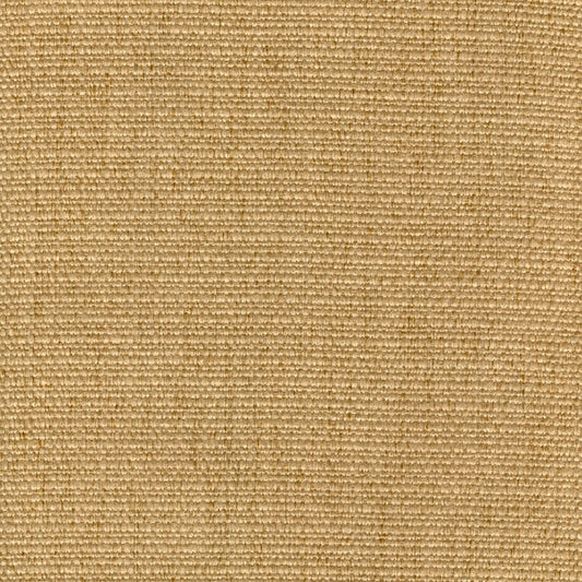 CACHAY GOLD Mag Fabrics