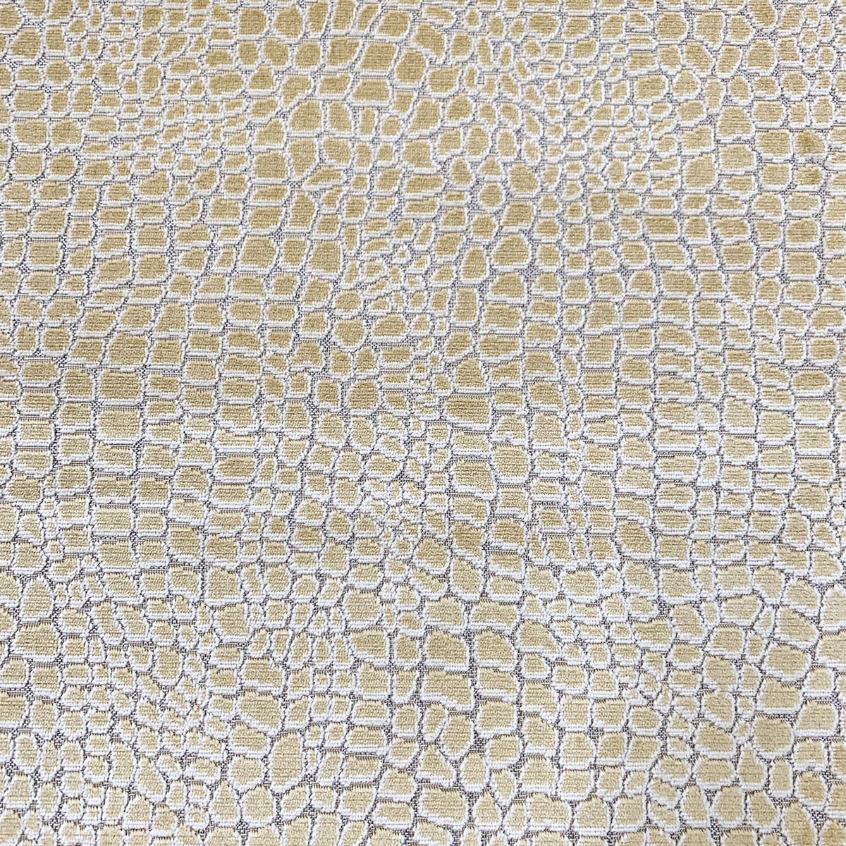 CAYMAN HONEY Mag Fabrics
