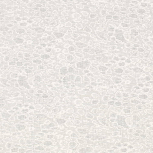 CB700-586 Fabric CB700-586 Charlotte Fabrics