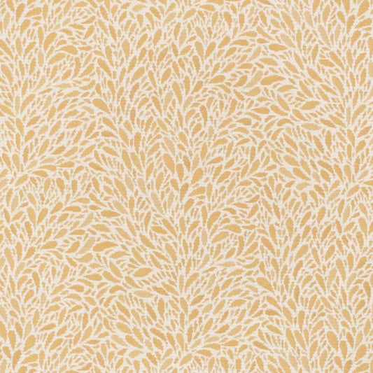 CB800-452 Fabric Charlotte Fabrics