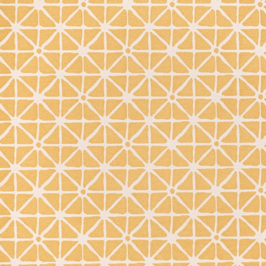 CB800-453 Fabric CB800-453 Charlotte Fabrics