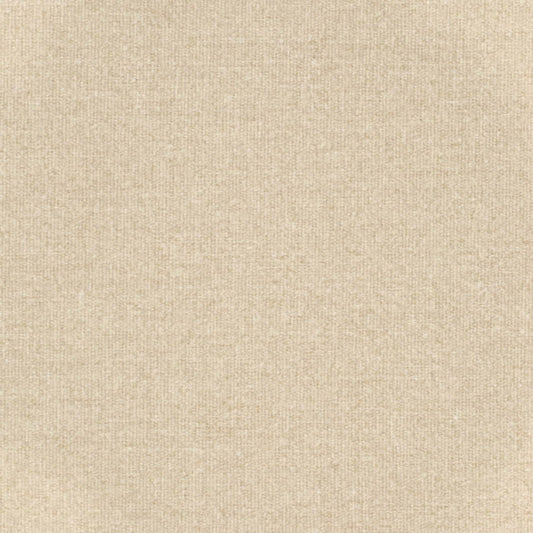 CB800-487 Fabric CB800-487 Charlotte Fabrics