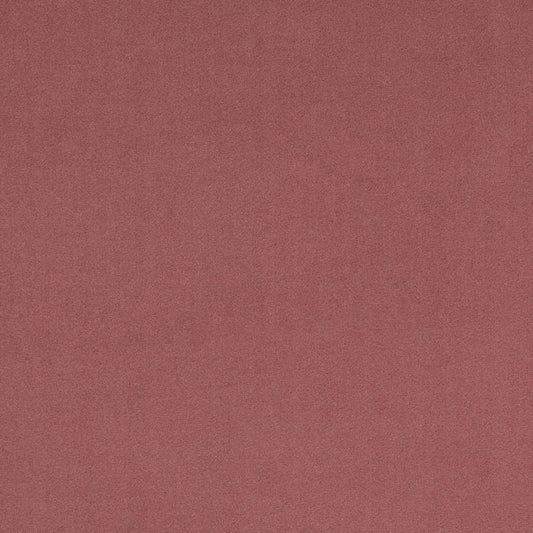 CB800-513 Fabric CB800-513 Charlotte Fabrics