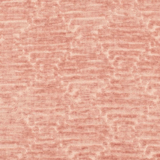 CB800-519 Fabric CB800-519 Charlotte Fabrics