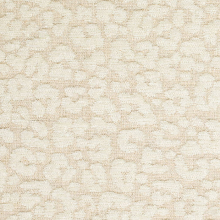CB900-180 Fabric CB900-180 Charlotte Fabrics