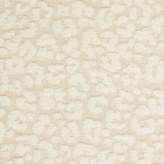 CB900-180 Fabric CB900-180 Charlotte Fabrics