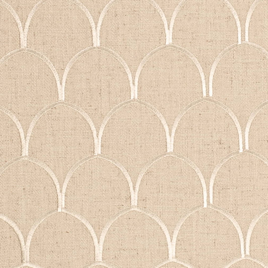 CB900-181 Fabric CB900-181 Charlotte Fabrics