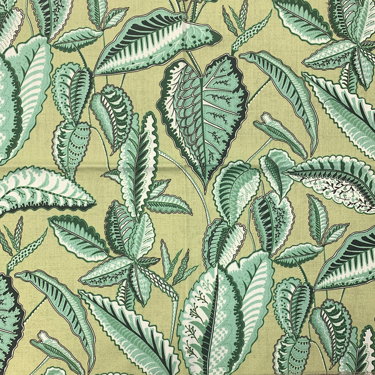 CO - CYPRESS KIWI Mag Fabrics