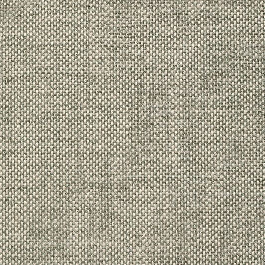 Crypton Home WILEY EUCALYPTUS Mag Fabrics