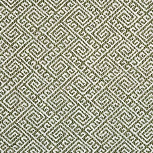 D2553 Lime Fabric Charlotte Fabrics