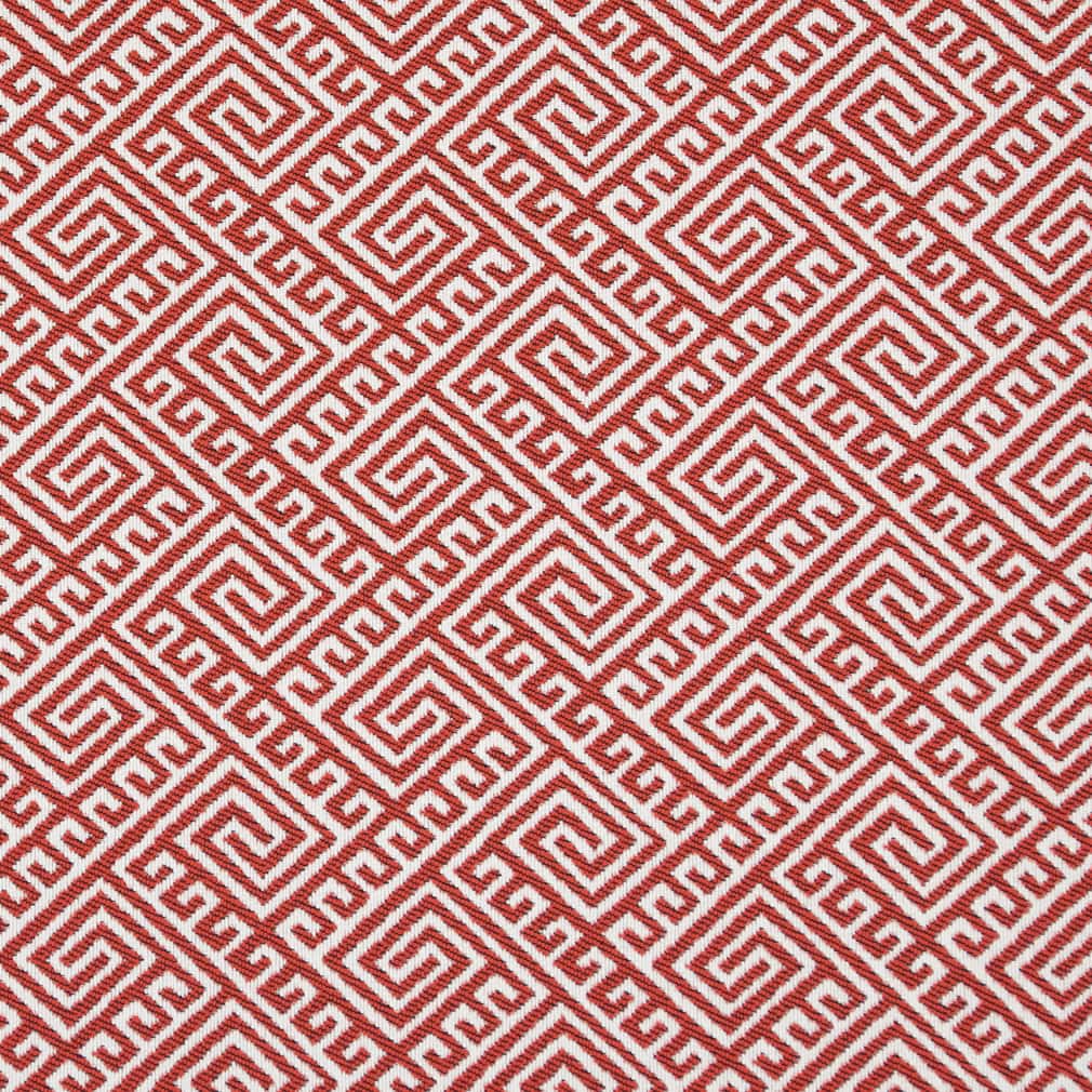 D2555 Watermelon Fabric D2555 Charlotte Fabrics