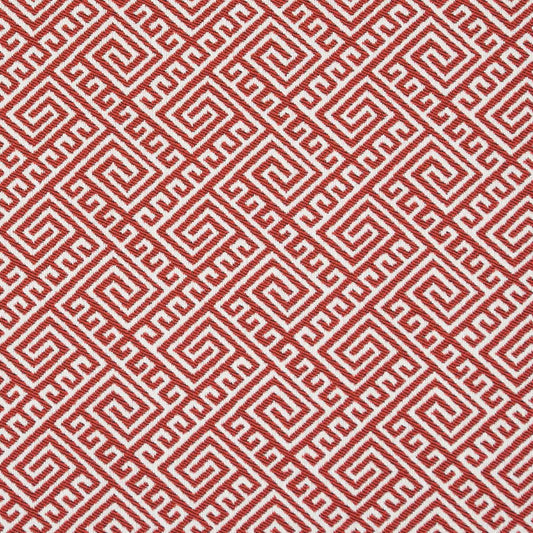 D2555 Watermelon Fabric D2555 Charlotte Fabrics