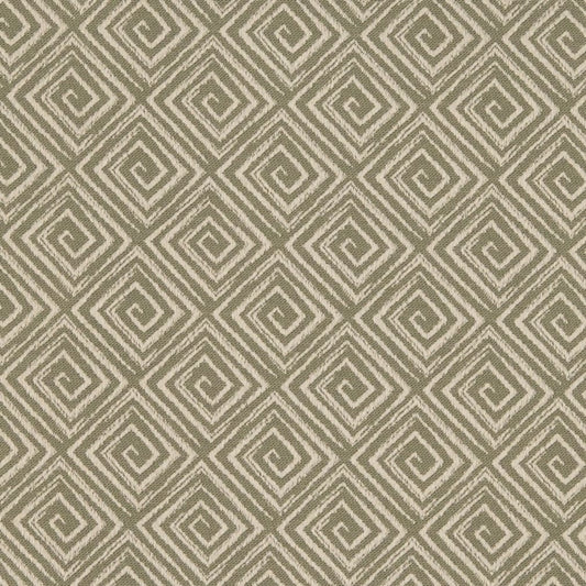 D3174 Sprout Fabric Charlotte Fabrics