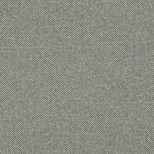 Pewter Fabric D3246 Charlotte Fabrics