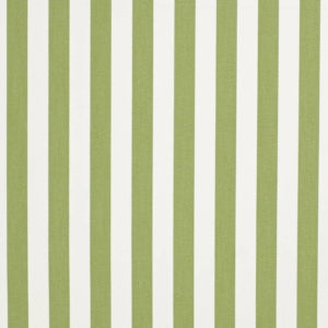 https://www.charlottefabrics.com/wp-content/uploads/2023/12/D3470-Tiki-Lime_Large-v1-300x300.jpg