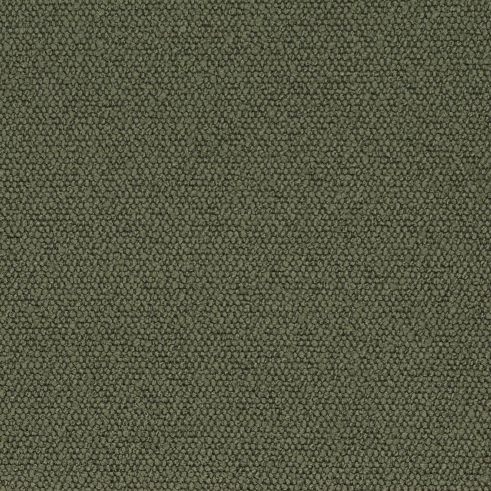 D3628 Olive Fabric Charlotte Fabrics