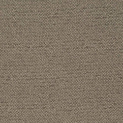 D3634 Latte Fabric Charlotte Fabrics