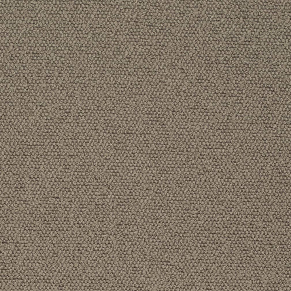 D3634 Latte Fabric Charlotte Fabrics