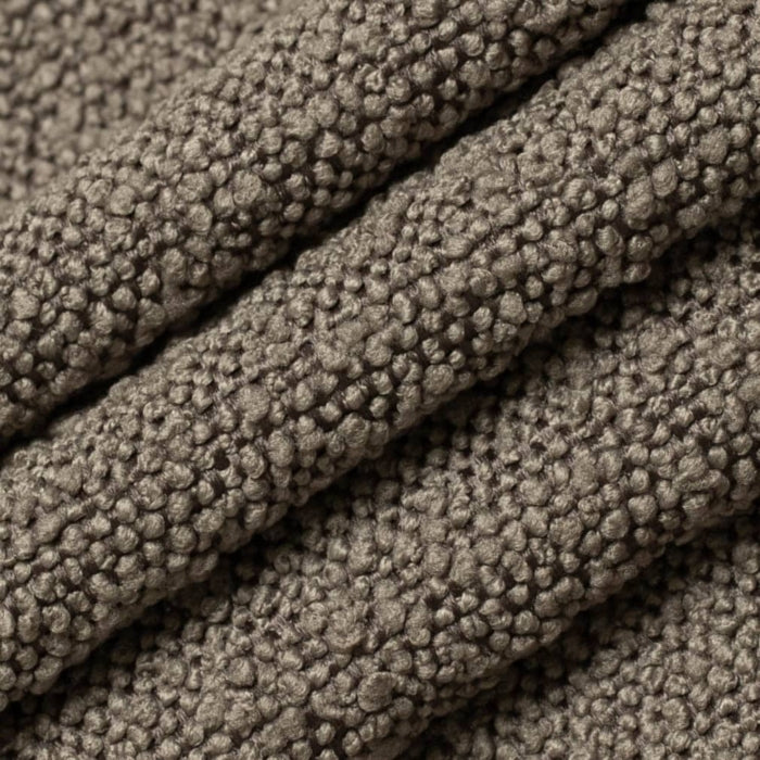 D3634 Latte Fabric Charlotte Fabrics