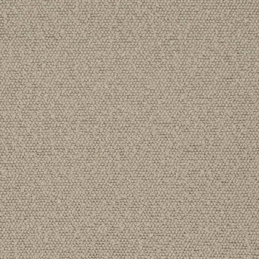 D3635 Mushroom Fabric Charlotte Fabrics