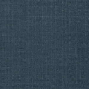 https://www.charlottefabrics.com/wp-content/uploads/2023/12/D3729-Denim_Large-v1-300x300.jpg