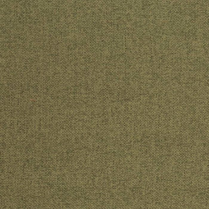Fern Fabric D4005 Charlotte Fabrics